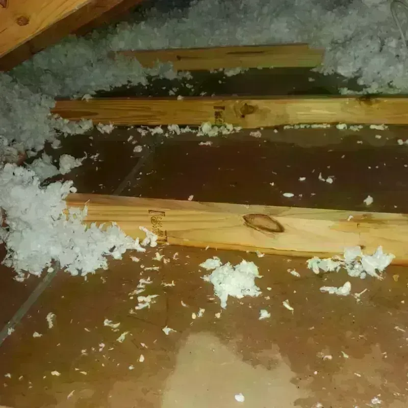 Attic Water Damage in Windcrest, TX