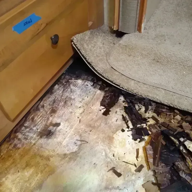 Wood Floor Water Damage in Windcrest, TX